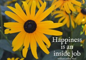 Image source: www.exquisitelyunremarkable.com