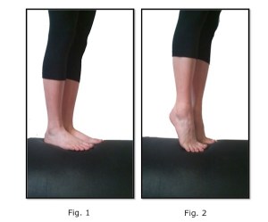 Image source:   www.pilatesexerciseoftheday.blogspot.com