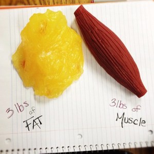 Image source: www. thisisskinnybitch.tumblr.com