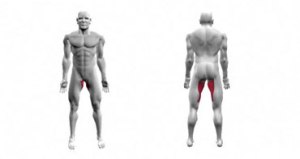 Image source: www.dotfit.com