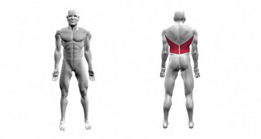 Image source: www.dotfit.com