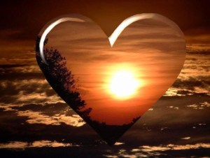 Image source:  www.selenaj.com