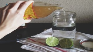 Image source: www.searchhomeremedies.com