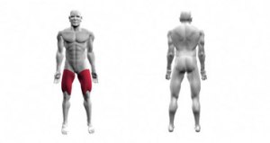 Image source: www.dotfit.com