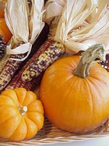 Image source: www.naturopathnsw.com.au