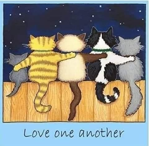 Laughter is Medicine