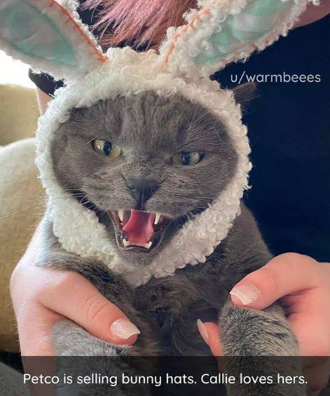 Laughter is Medicine