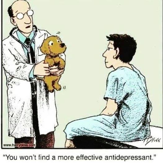 Laughter is Medicine