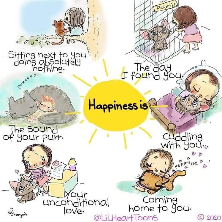 Laughter is Medicine